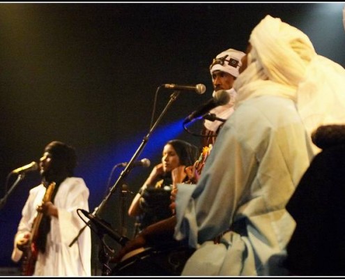 Tinariwen &#8211; Microcosm 5