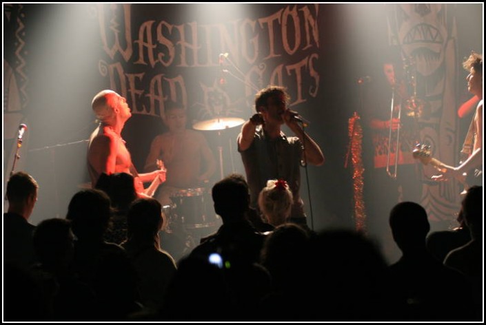 Washington Dead Cats a la Maroquinerie