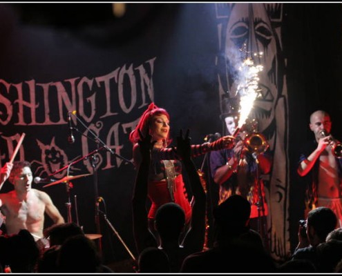 Washington Dead Cats a la Maroquinerie