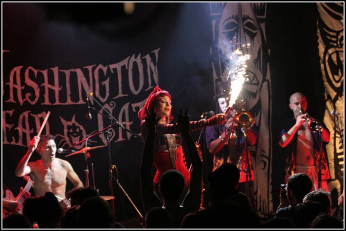 Washington Dead Cats a la Maroquinerie