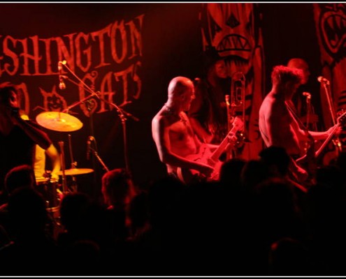 Washington Dead Cats a la Maroquinerie