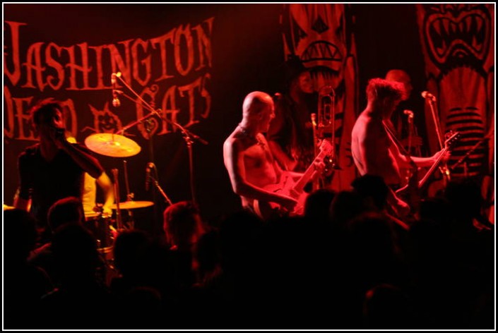 Washington Dead Cats a la Maroquinerie