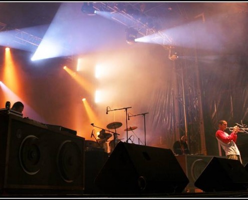 Le Peuple de l herbe &#8211; Festival Solidays 2005