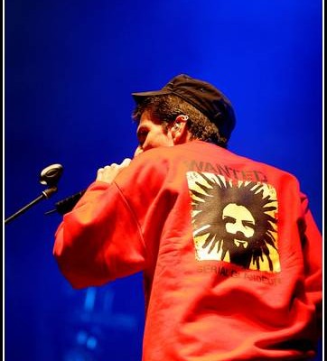 Le Peuple de l herbe &#8211; Festival Solidays 2005