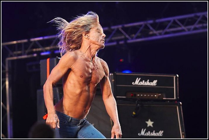 Iggy Pop &#8211; Les Vieilles Charrues 2005