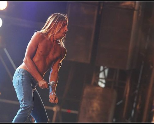 Iggy Pop &#8211; Les Vieilles Charrues 2005