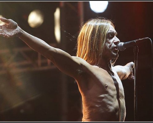 Iggy Pop &#8211; Les Vieilles Charrues 2005