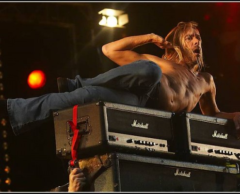 Iggy Pop &#8211; Les Vieilles Charrues 2005