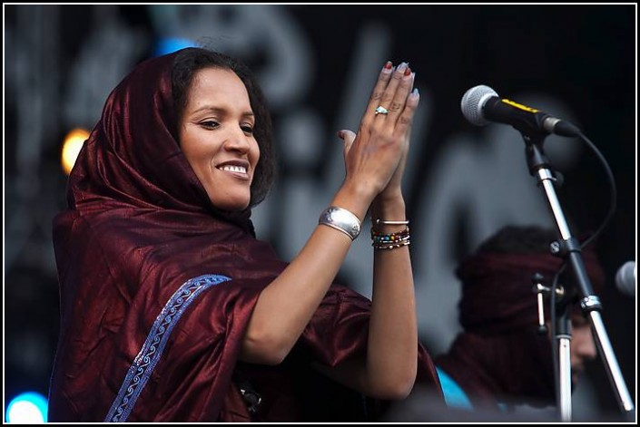 Tinariwen &#8211; Les Vieilles Charrues 2005