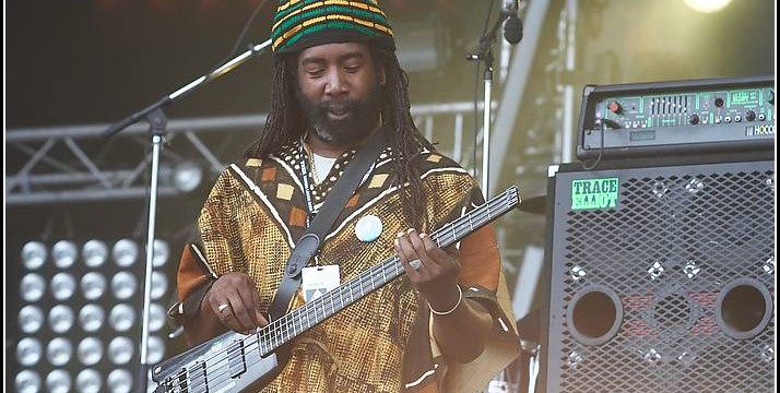 Tiken Jah Fakoly &#8211; Les Vieilles Charrues 2005