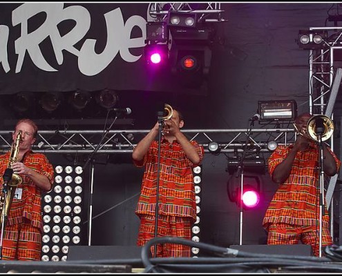 Tiken Jah Fakoly &#8211; Les Vieilles Charrues 2005