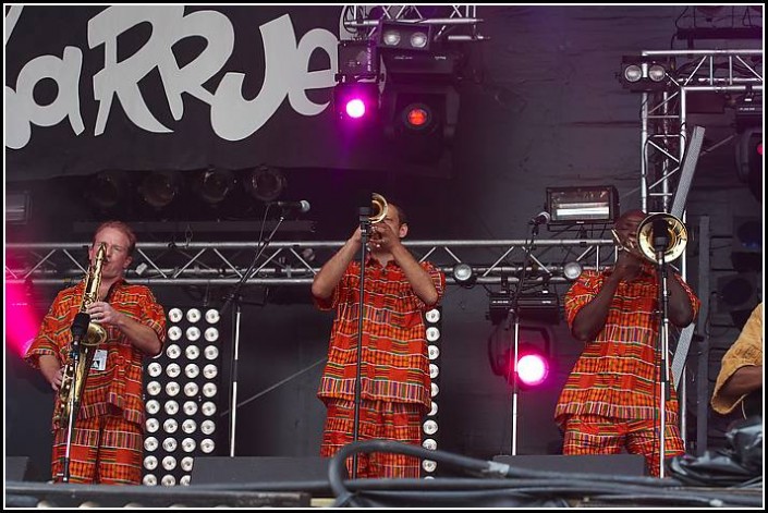 Tiken Jah Fakoly &#8211; Les Vieilles Charrues 2005