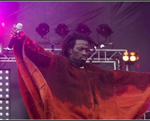 Tiken Jah Fakoly &#8211; Les Vieilles Charrues 2005