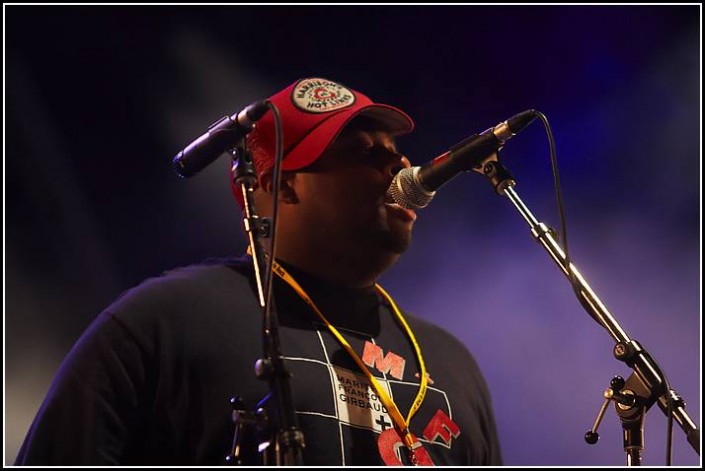 Fishbone &#8211; Au Pont du Rock 2005