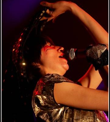 Yeah Yeah Yeahs &#8211; Art Rock 2006