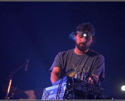 Animal Collective &#8211; Les Eurockeennes 2006