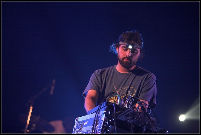 Animal Collective &#8211; Les Eurockeennes 2006