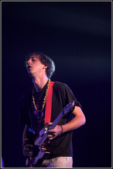 Animal Collective &#8211; Les Eurockeennes 2006