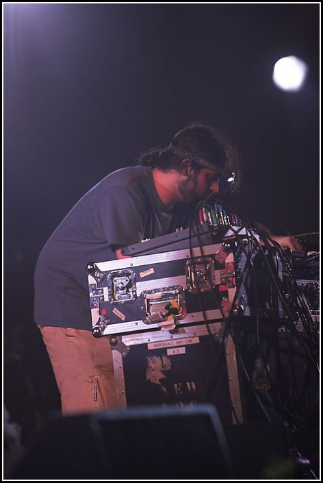 Animal Collective &#8211; Les Eurockeennes 2006