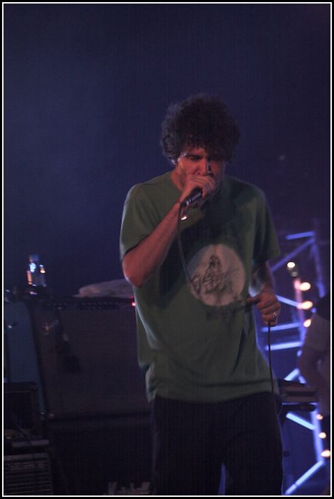 Animal Collective &#8211; Les Eurockeennes 2006