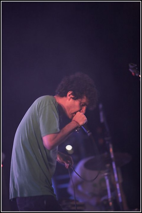 Animal Collective &#8211; Les Eurockeennes 2006