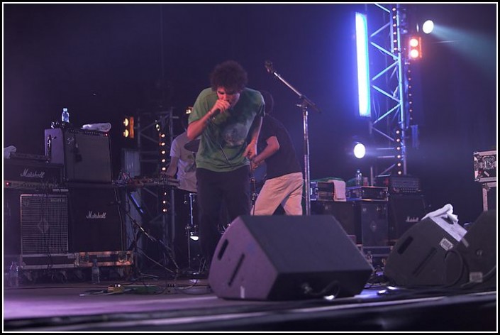 Animal Collective &#8211; Les Eurockeennes 2006