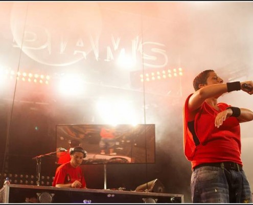 Diams &#8211; Festival des Vieilles Charrues 2006