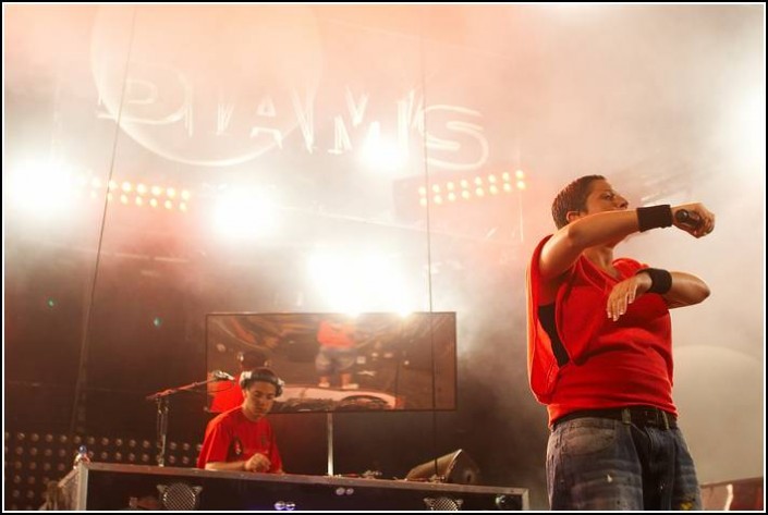 Diams &#8211; Festival des Vieilles Charrues 2006