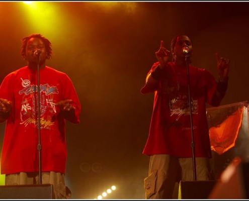 Diams &#8211; Festival des Vieilles Charrues 2006