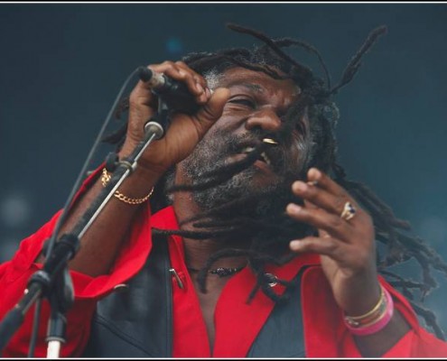 Winston Mc Anuff &#8211; Festival des Vieilles Charrues 2006