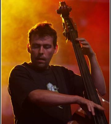 Les Hurlements de Leo &#8211; Festival Au Pont du Rock 2006