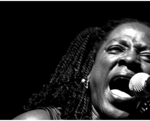 Sharon Jones &#8211; Les 3 Elephants