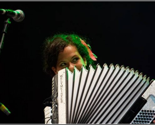 Arcade Fire &#8211; Festival des Vieilles Charrues 2007