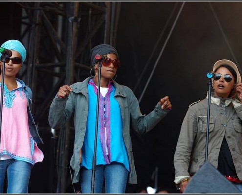 Gentleman &#8211; Festival des Vieilles Charrues 2007