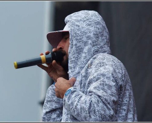 Gentleman &#8211; Festival des Vieilles Charrues 2007