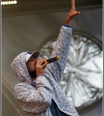 Gentleman &#8211; Festival des Vieilles Charrues 2007