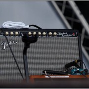 Gentleman &#8211; Festival des Vieilles Charrues 2007