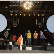 Camille &#8211; Festival des Vieilles Charrues 2008