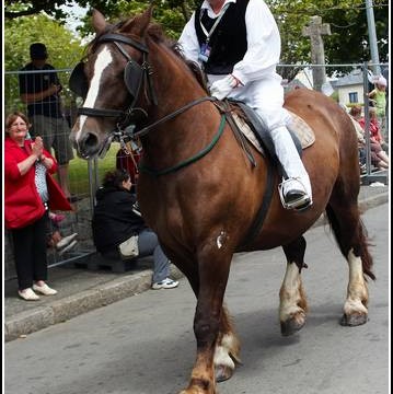 Le defile du dimanche &#8211; Festival Terre Neuvas (Bobital) 2008