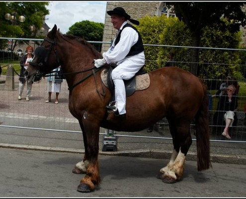 Le defile du dimanche &#8211; Festival Terre Neuvas (Bobital) 2008