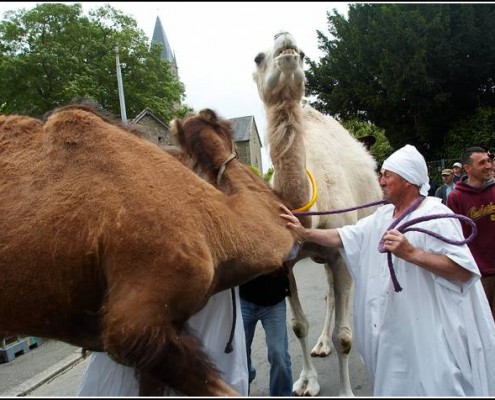 Le defile du dimanche &#8211; Festival Terre Neuvas (Bobital) 2008