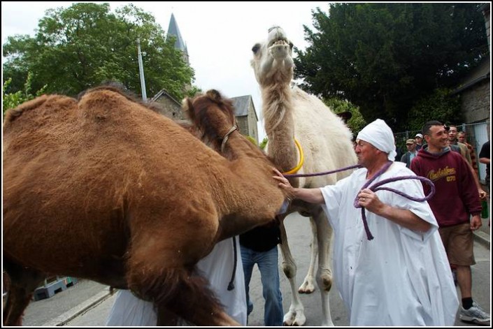 Le defile du dimanche &#8211; Festival Terre Neuvas (Bobital) 2008