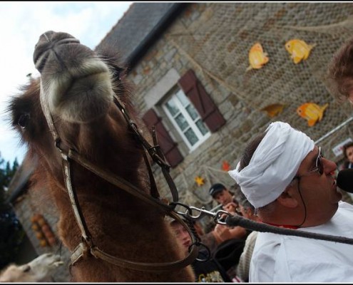 Le defile du dimanche &#8211; Festival Terre Neuvas (Bobital) 2008