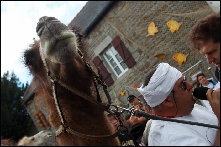 Le defile du dimanche &#8211; Festival Terre Neuvas (Bobital) 2008