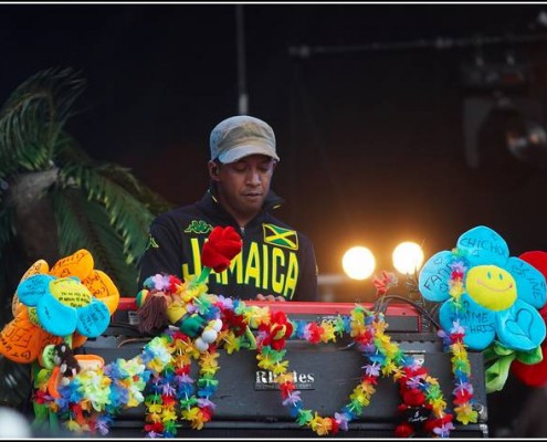 Christophe Mae &#8211; Festival des Vieilles Charrues 2008