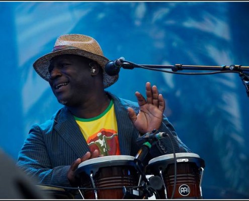 Christophe Mae &#8211; Festival des Vieilles Charrues 2008