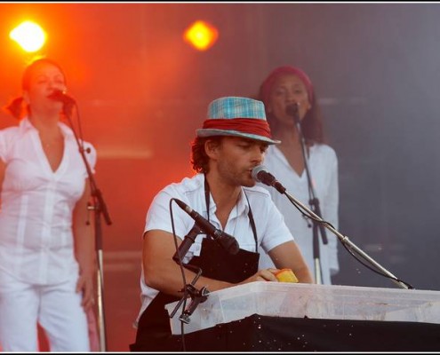 Camille &#8211; Festival des Vieilles Charrues 2008