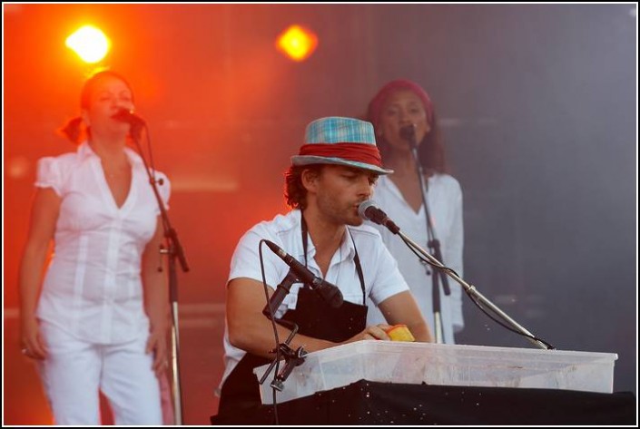 Camille &#8211; Festival des Vieilles Charrues 2008