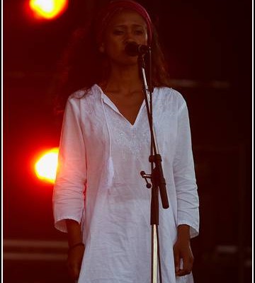 Camille &#8211; Festival des Vieilles Charrues 2008