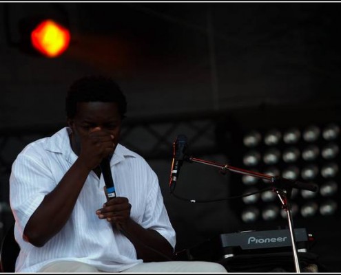 Camille &#8211; Festival des Vieilles Charrues 2008